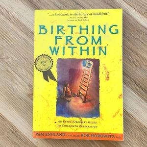 Birthing From Within Book